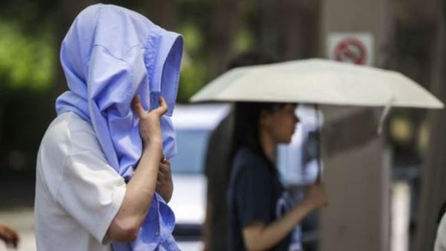 [지금은 기후위기] '폭염 도미노'…모든 게 연쇄적으로 쓰러져