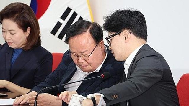 與, 김여사 조준한 野특검법에 강경론…제삼자추천안 '브레이크'