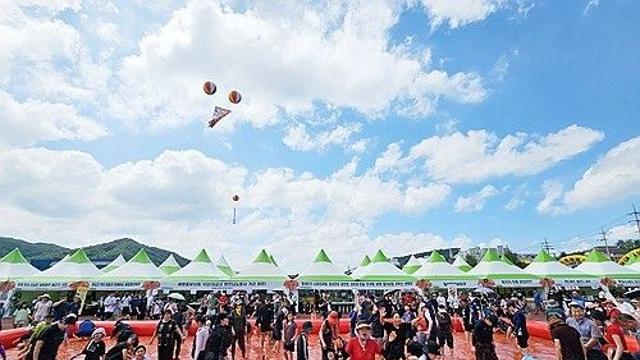 폭염 속 강원 동해안 해수욕장 막바지 피서객 32만명 '풍덩'