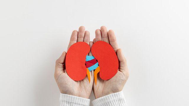 고령일수록 콩팥병 위험! 그 이유는?