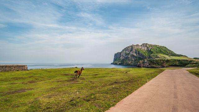 제주 올레길 맨발걷기 어때요!