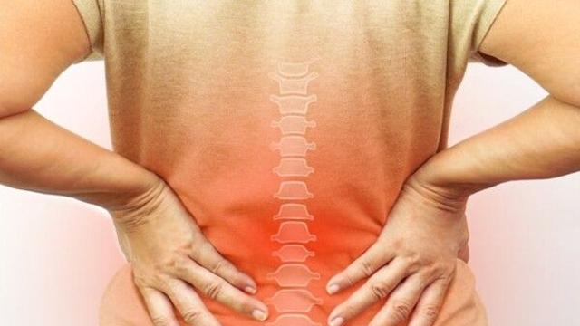 ‘몸의 대들보’ 척추, 고장 나면 사지마비도