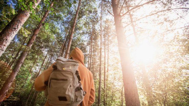 추석 연휴에 즐기는 느긋한 휴식…‘호캉스’ 어때요[여행]