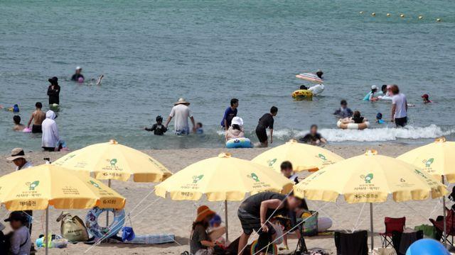 [내일 날씨] 전국 찜통 더위 계속… 곳곳 소나기 예보