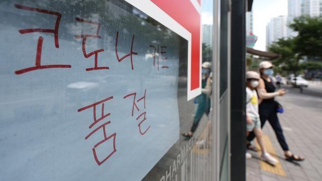 코로나 치료제 품귀에 보건당국 