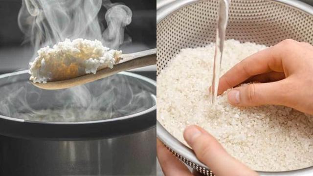 “당장 버려야...” 쌀에 핀 곰팡이, 이 색깔과 냄새로 판별할 수 있다