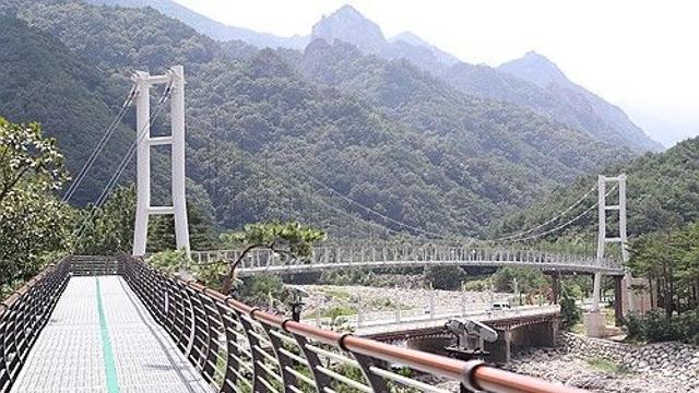 '속초 설악향기로' 새 관광명소로 부상…한 달간 4만명 방문