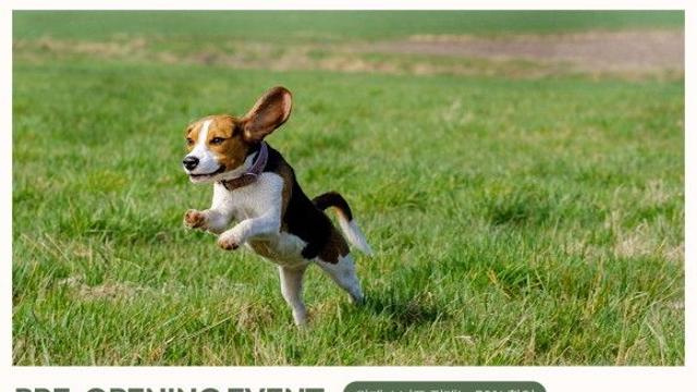 교원그룹 펫 프렌들리 호텔 '키녹' 프리 오프닝 이벤트 진행