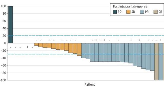 “난치성 뇌 전이 EGFR 돌연변이 폐암에 ‘레이저티닙’ 효과 확인”