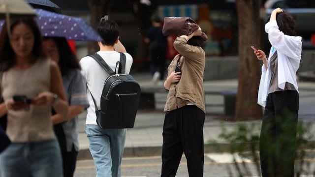 [오늘날씨] 태풍 '종다리' 약화…전국 돌풍 동반 많은 비