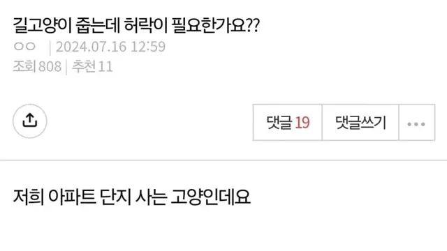 길고양이 데려가 키웠더니 돌려달라는 캣맘