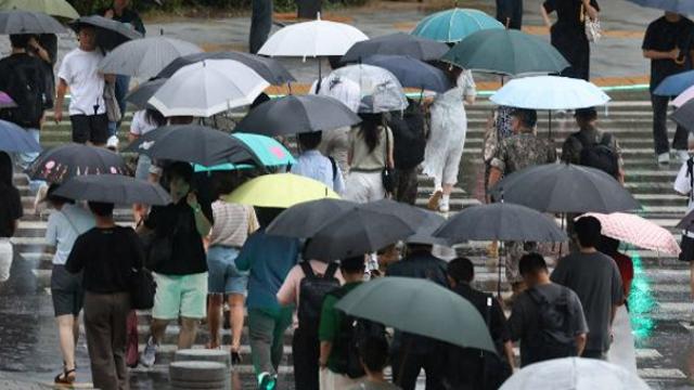[내일 날씨] 태풍 '종다리' 약화… 돌풍·번개 동반 비