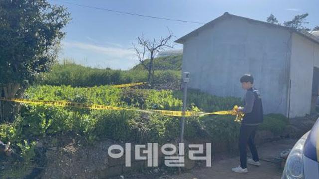 집 앞 텃밭서 대마·양귀비 재배…해경, 밀경사범 367명 적발