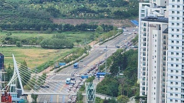 오늘 난리난 코스트코 청라점 신규오픈 (진짜 난리남)