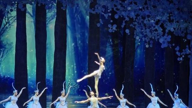 '어깨 위에서 곡예하는 발레리나'…中서커스 발레 '백조의 호수'
