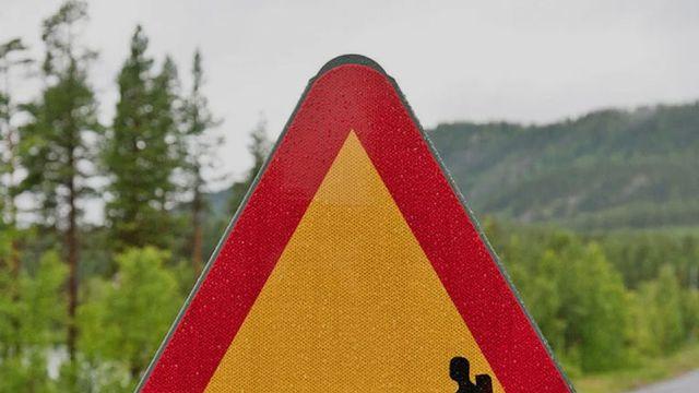 호주, 캐나다, 아이슬란드에서만 볼 수 있는 독특한 도로 표지판