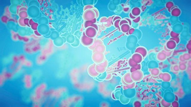 고기보다 낫다! 단백질이 많은 채소 7..