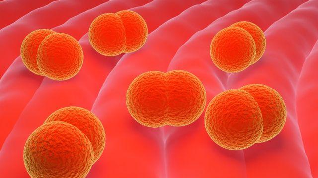 내 몸, 염증 수치 걱정된다면 이렇게 해보세요!