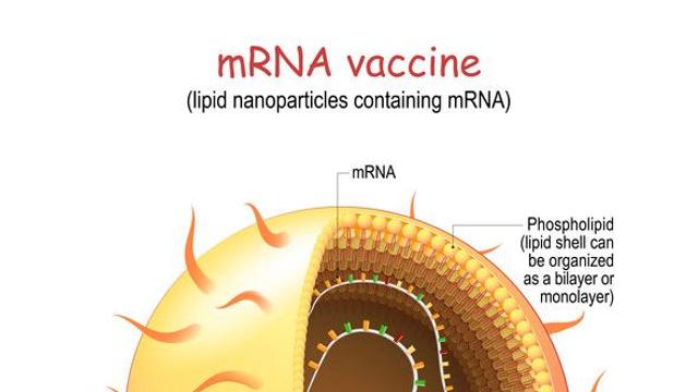 코로나19 막았던 mRNA 백신, 폐암 백신으로 첫 임상 시험