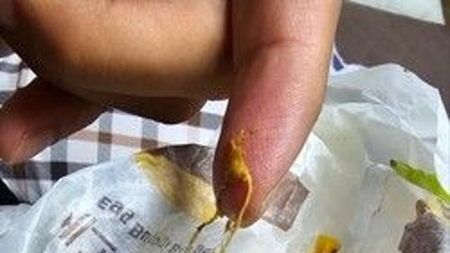 맥도날드, ‘실 나온 버거’ 일주일 지났는데…조사 어디서 하는지 모른다?