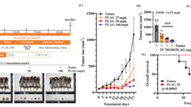 엔지켐생명과학, 신약후보물질 항암 효능 확인