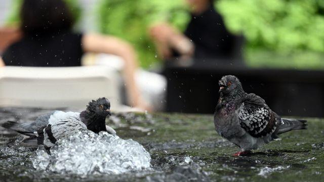 [내일날씨] 아침 선선 낮엔 무더위…곳곳 흐리고 '비'