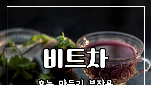 비트차 효능 10가지 및 만들기 및 부작용
