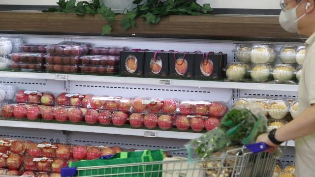 올해 추석 차례상 비용, 작년보다 2% 저렴…사과값 인하 영향