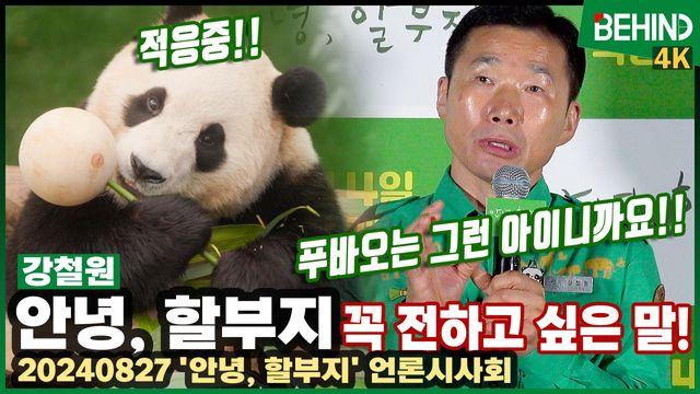 푸바오와 재회한 강바오, 푸바오 적응 거의 완료 