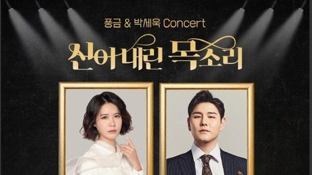 라이브 콘서트, 
