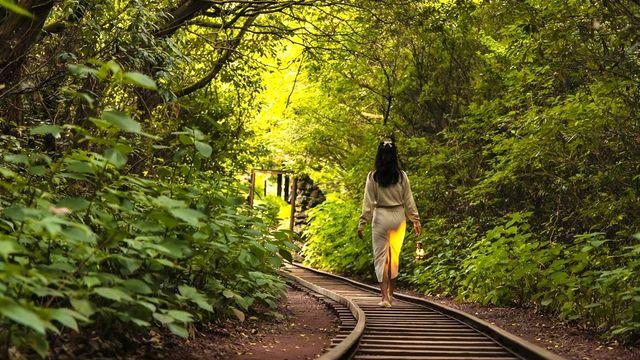 [Shorts] 제주에서 놓치지 말아야 할 '가을 여행지' 6선