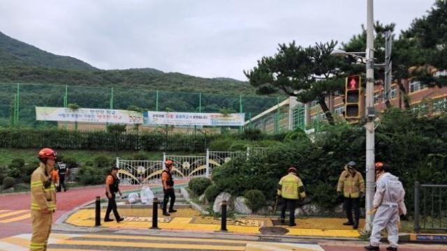 군포서 초등생 9명 벌에 쏘여…생명 지장 없어
