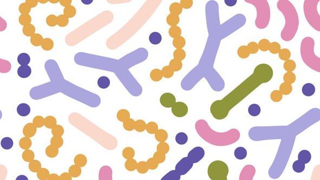 장내 서식 마이크로바이옴, 면역세포 암공격 돕는다