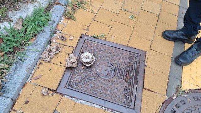 군포서 등교하던 초등생 '집단 벌쏘임'… 학생 9명 병원 이송