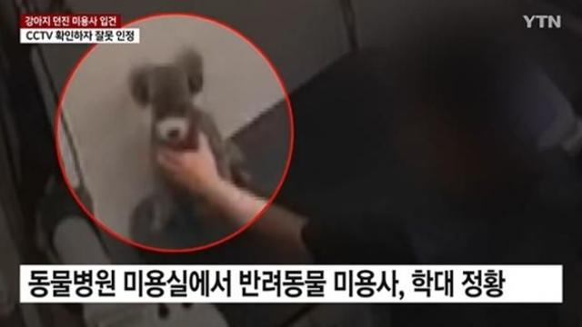 반갑다 꼬리 치는 강아지 다리 부러뜨린 미용사...CCTV 들이밀자, 황당 변명?