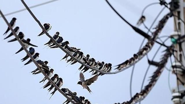 강원 맑고 일교차 커…낮 최고 32도