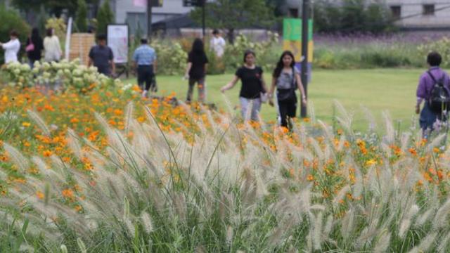 [내일 날씨] 수도권·강원영서 '가을비'… 더위 꺾인다