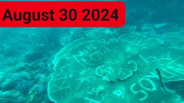 필리핀 보홀 '다이빙 성지', 한국인 등 산호초 낙서에 폐쇄