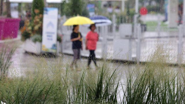 [내일 날씨] 전국 흐리고 곳곳 '소나기'… 낮 최고 32도