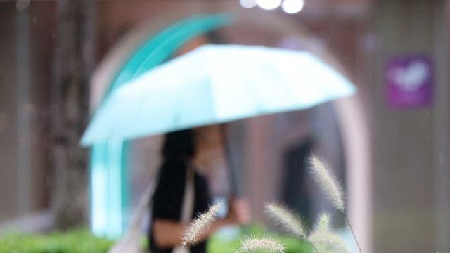 9월 첫 주말, 구름 많고 소나기…한낮 33도 내외[내일날씨]