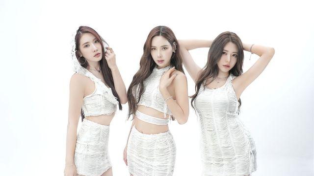 25년차 '신'인 아이돌…42세 채은정 