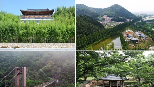 담양군, 죽녹원·메타랜드·소쇄원 등 대표 관광지 추석 당일 무료 개방