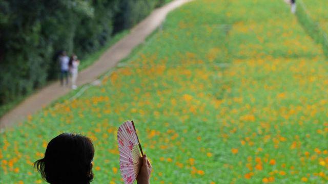 ‘가을 열대야까지’…낮 최고 35도 찌는 날씨 이어져[오늘날씨]