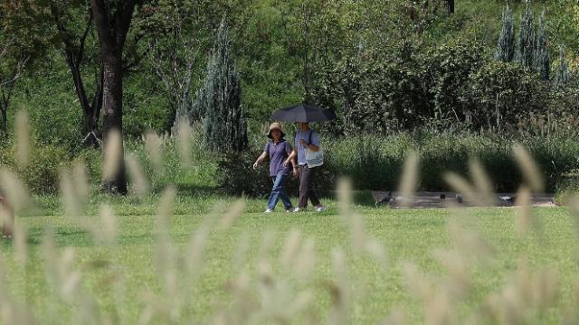 [내일 날씨] 전국 대체로 맑은 가운데…무더위 계속