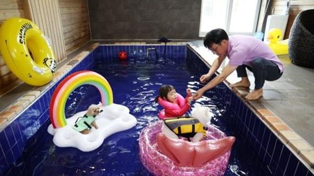 10월 태안 반려동물 동반 숙박업소·캠핑장 최대 3만원 할인