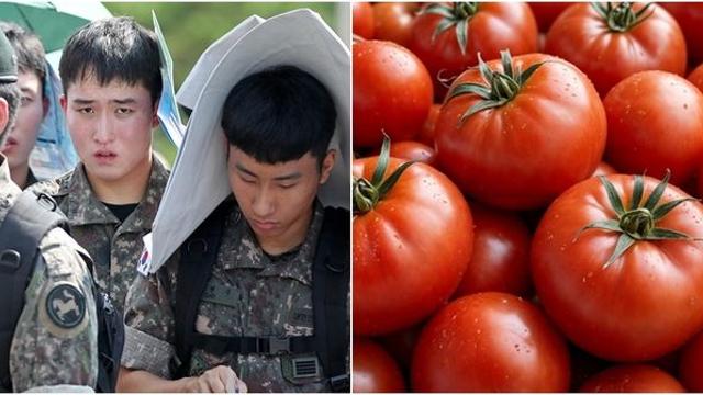“9월에도 안 끝나는 더위 이겨내는 데 도움 주는 식품을 소개합니다”