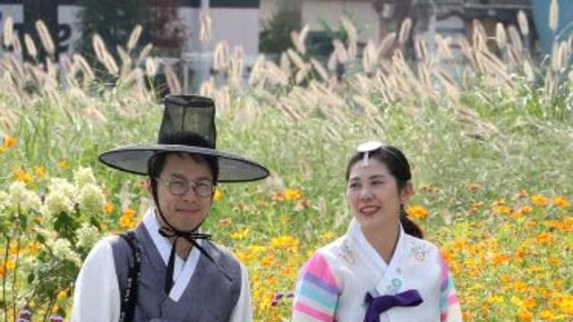 덥고 흐린 추석 날씨예보에…전력당국은 ‘안도’