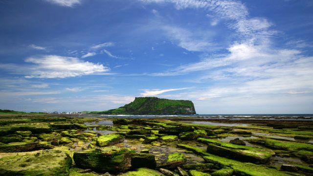 중국에서 벗어나는 제주 관광…내국인 빈 자리도 채운다