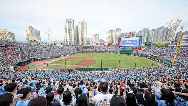 '폭염 경보' 5시→2시 경기, 사직 온열환자 23명 나왔다…이대로 괜찮을까 [부산 현장]