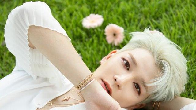 강성훈, 건재한 인기...'드림콘서트 빛낸 최고의 아티스트' 투표 1위